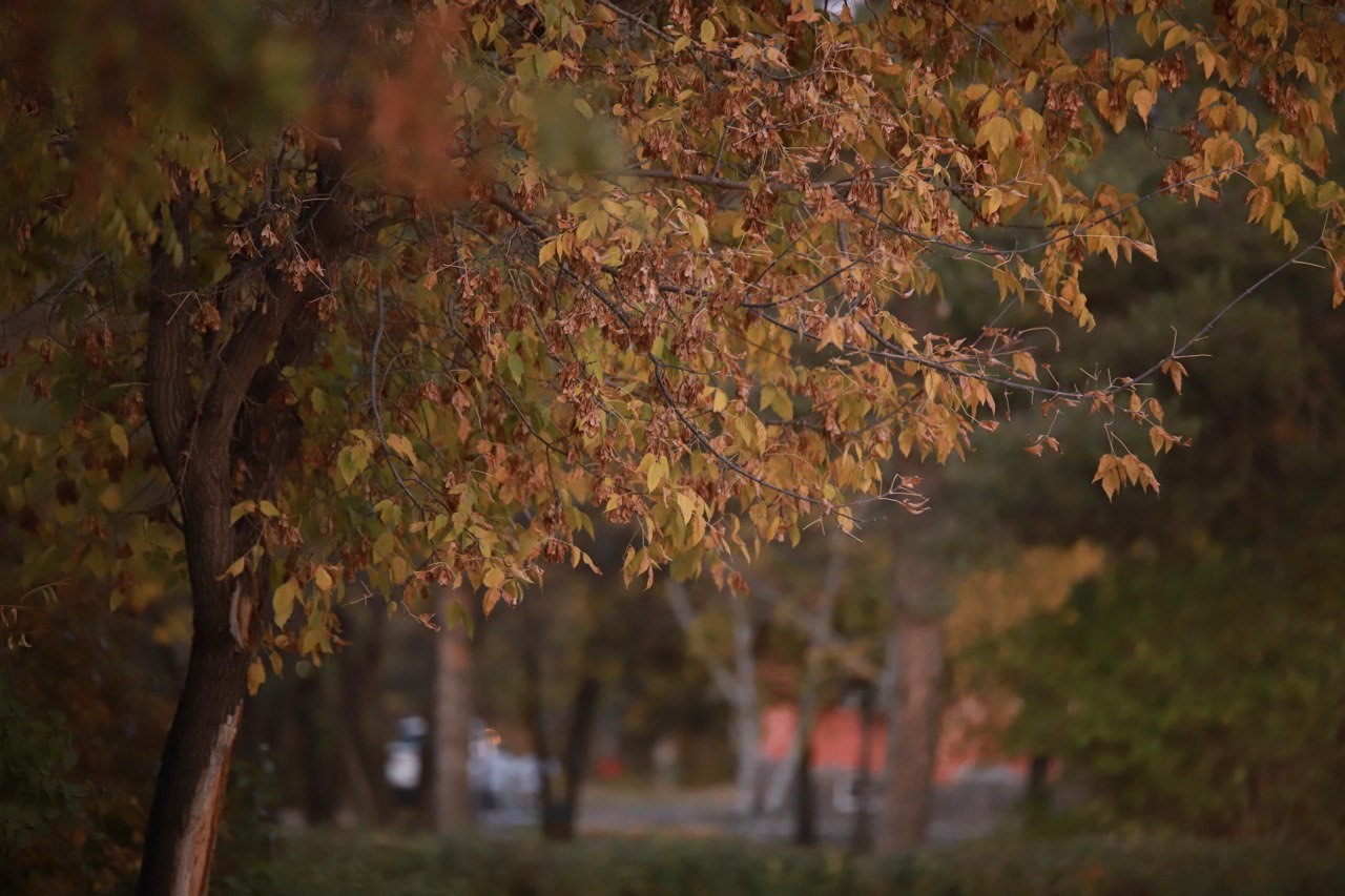 Ağrı’da iki mevsim bir arada