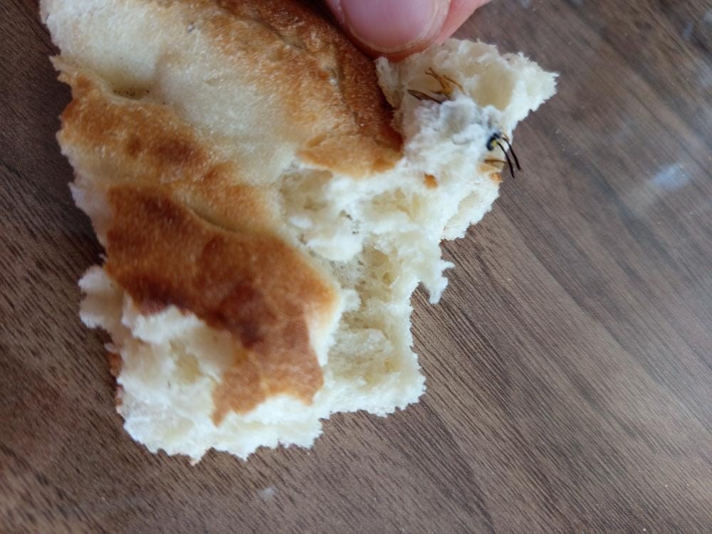 Aldığı ekmeğin içinden arı çıktı