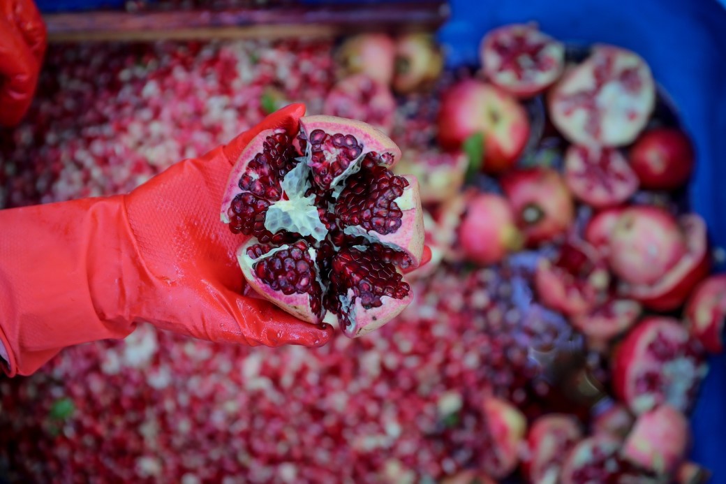 Bütçelere destek sofralara lezzet katıyor