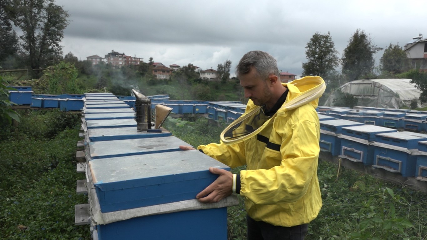 Doktora ve öğretmenlikten vazgeçti, arıcılığa başladı
