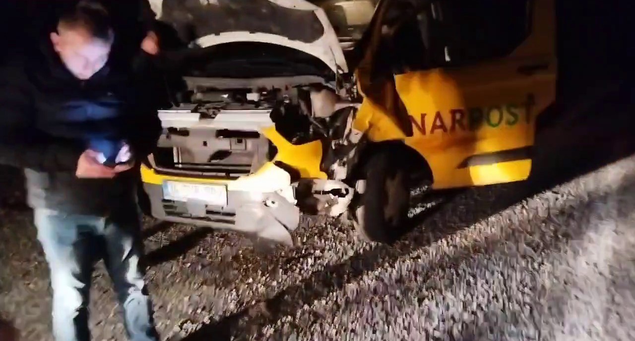 Erzurum’da bir otomobil boz ayıya çarptı