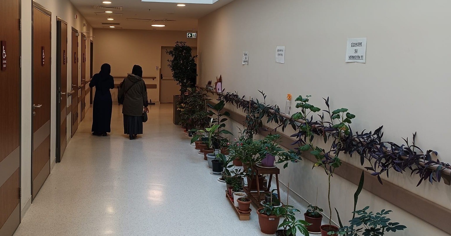 Onkoloji hastalarına moral olması için botanik bahçe kurdular