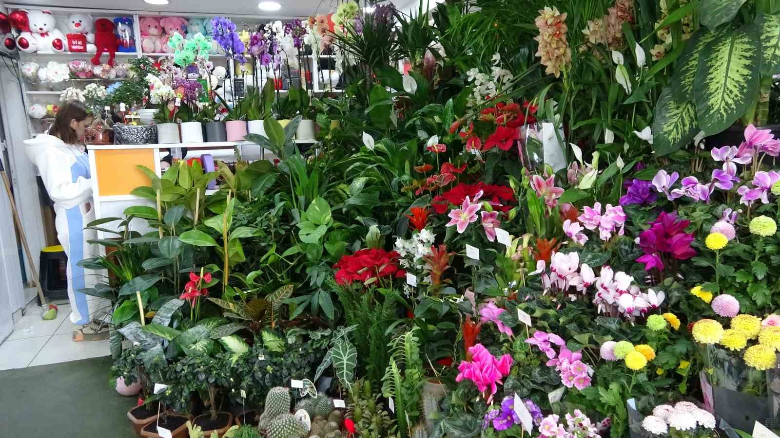 Van’da çiçekçilerin “Öğretmenler Günü” mesaisi