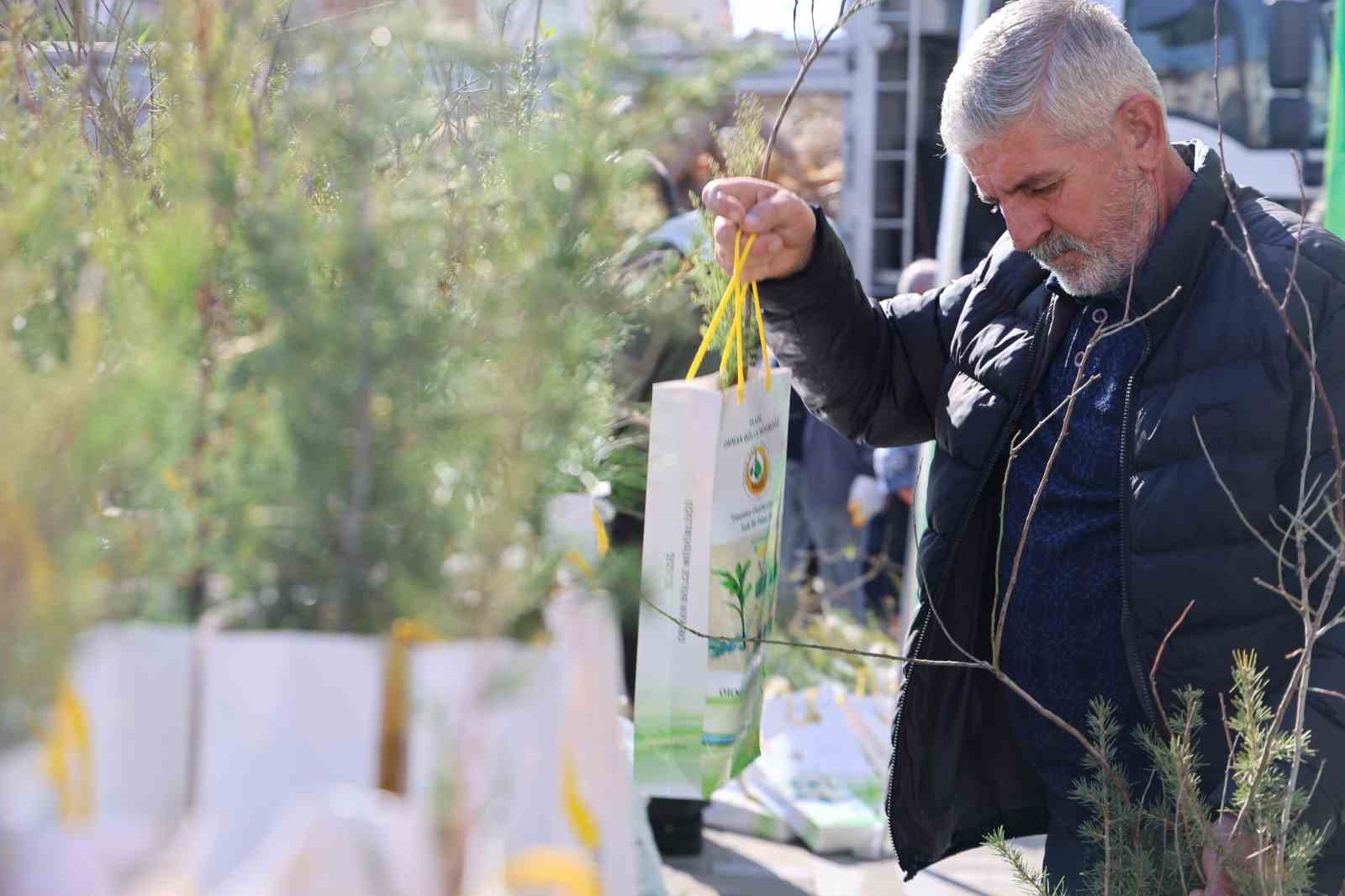 Vatandaşlara 23 bin adet ücretsiz fidan dağıtıldı