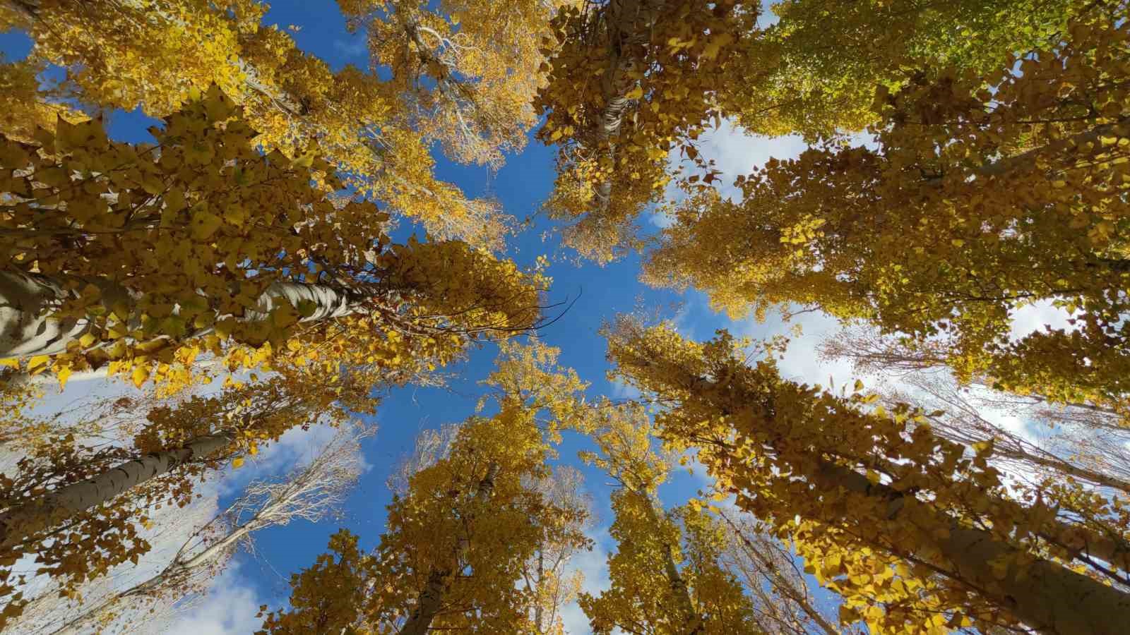 Van’da sonbahar manzaraları