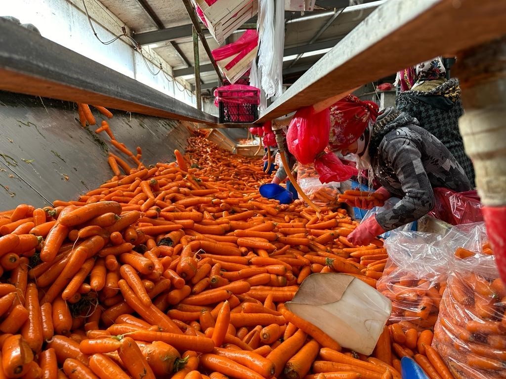 Tarlada kilosu 8 lira pazarda 45 lira