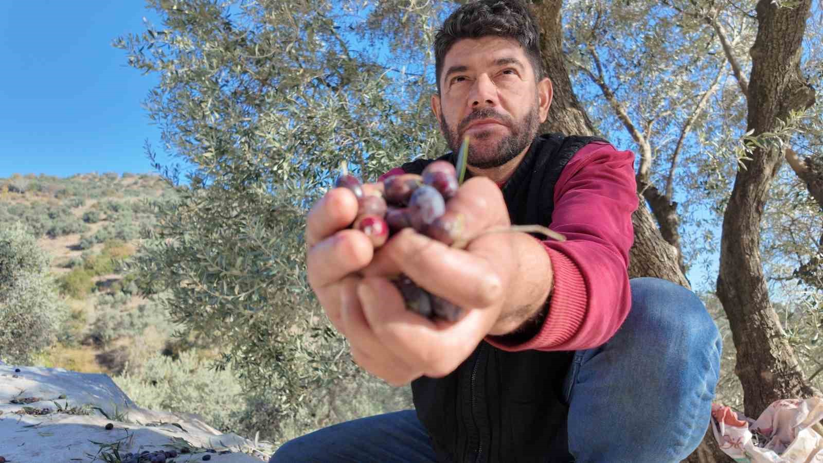 Nakil kollarına rağmen sorunsuz hasat yapıyor