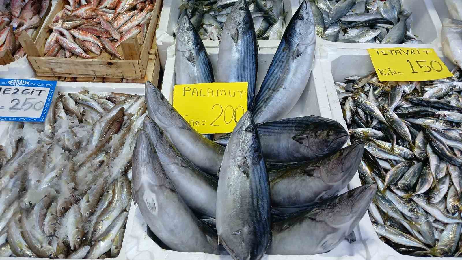 Tezgahın en ucuzu Çinekop balığı