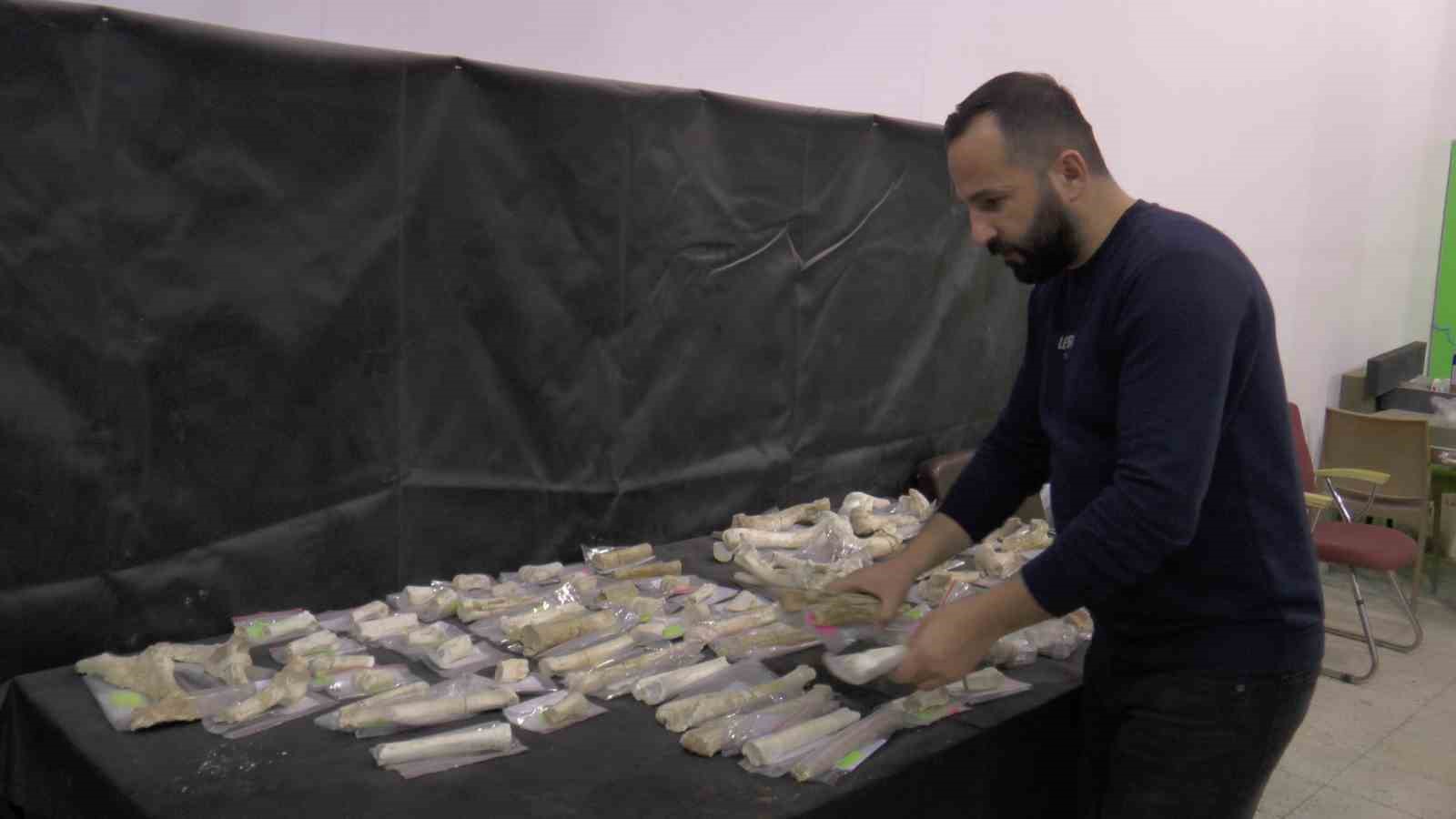 Kayseri’de  2024’te 115 fosil bulundu