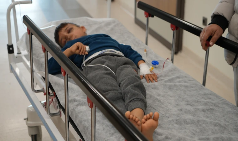 Adıyaman’da 6 yaşındaki küçük çocuk kuduz köpek saldırısına uğradı