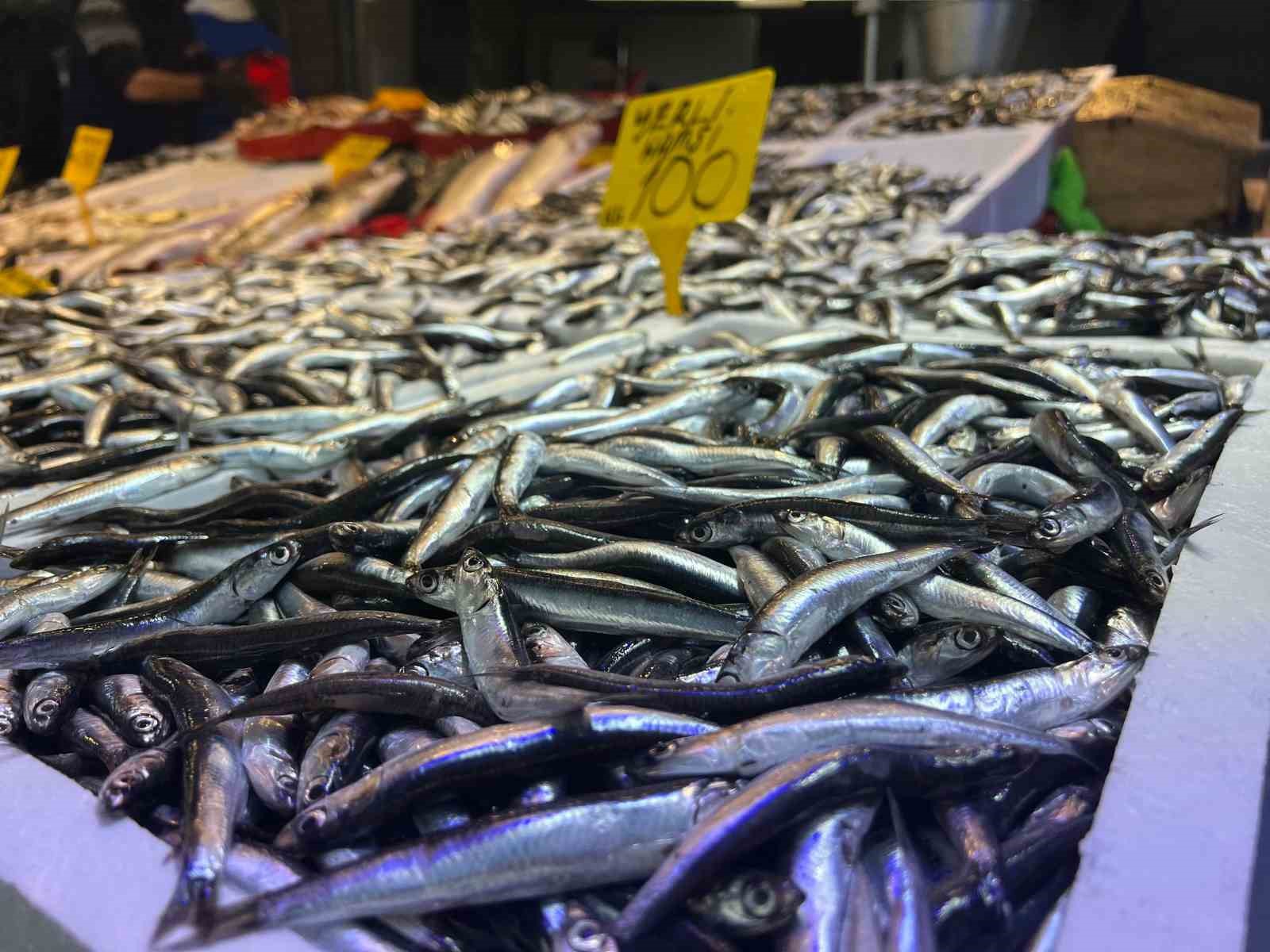 Balıkçılardan hamsi için “Tuzlama” önerisi