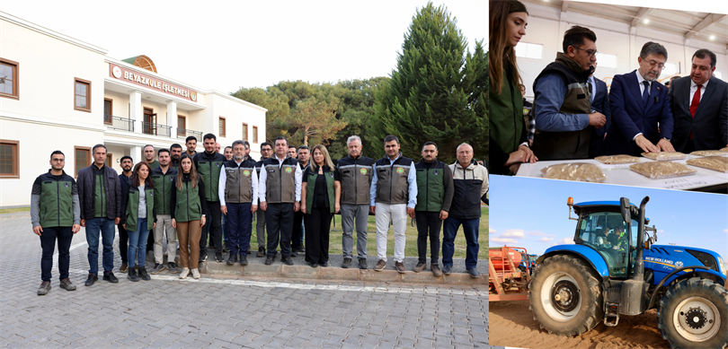 Dünyanın tek parça en büyük işletmesi olan TİGEM Ceylanpınar İşletmesi’nde buğday ekimi yapıldı