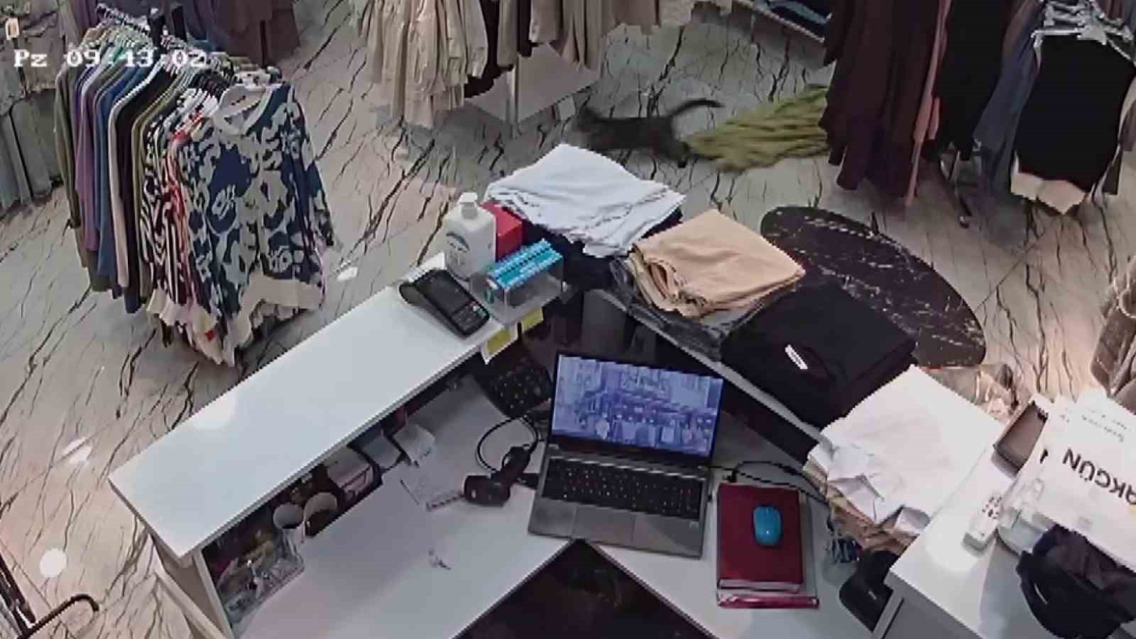 Mağazadan elbise çalan kediyi güvenlik kamerası ele verdi