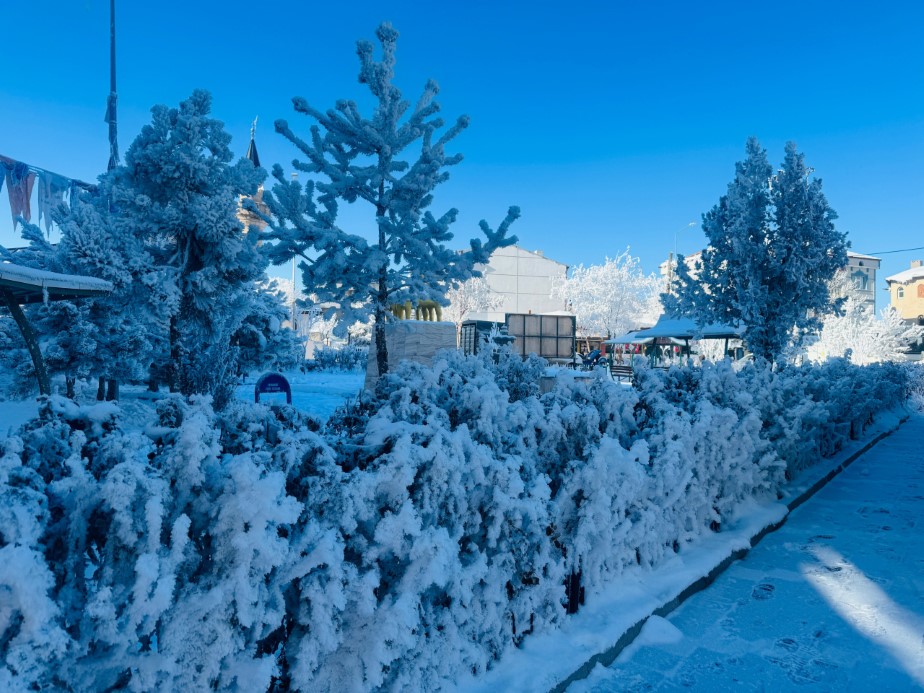 Türkiye’nin en soğuk yerleşim yerinde hayat durdu