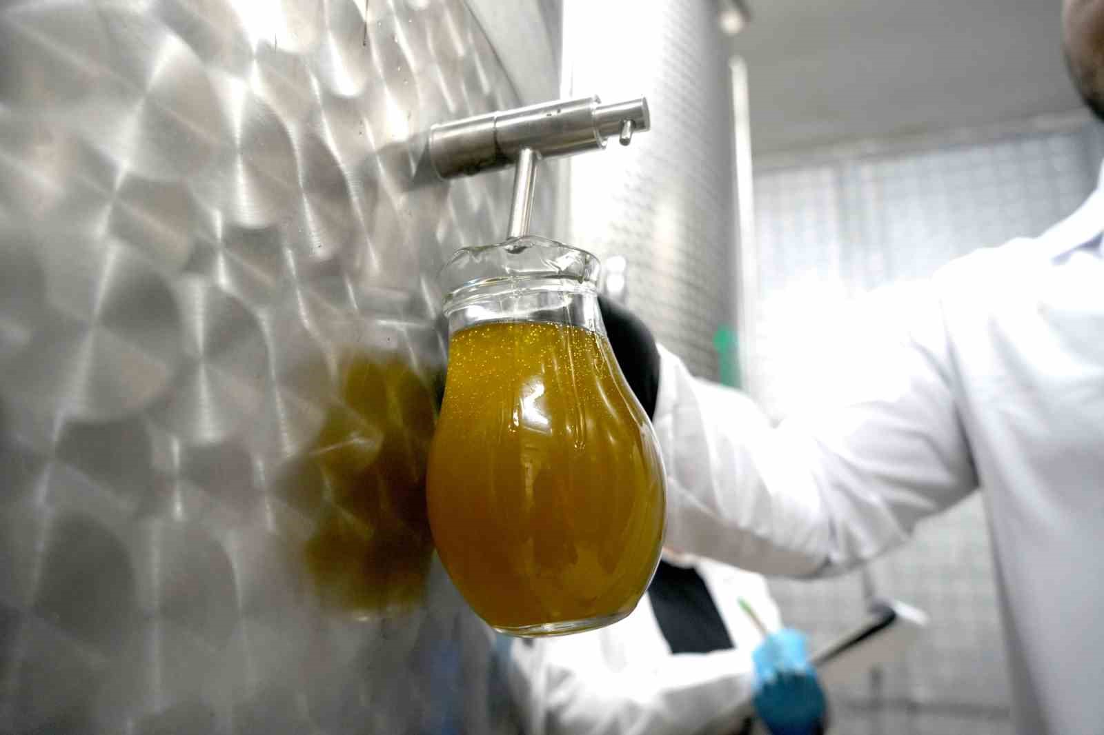 Zeytinyağı fiyatı ocak ayında açıklanacak