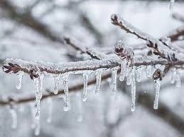 Meteoroloji yine uyardı: Buzlanma ve dona dikkat!