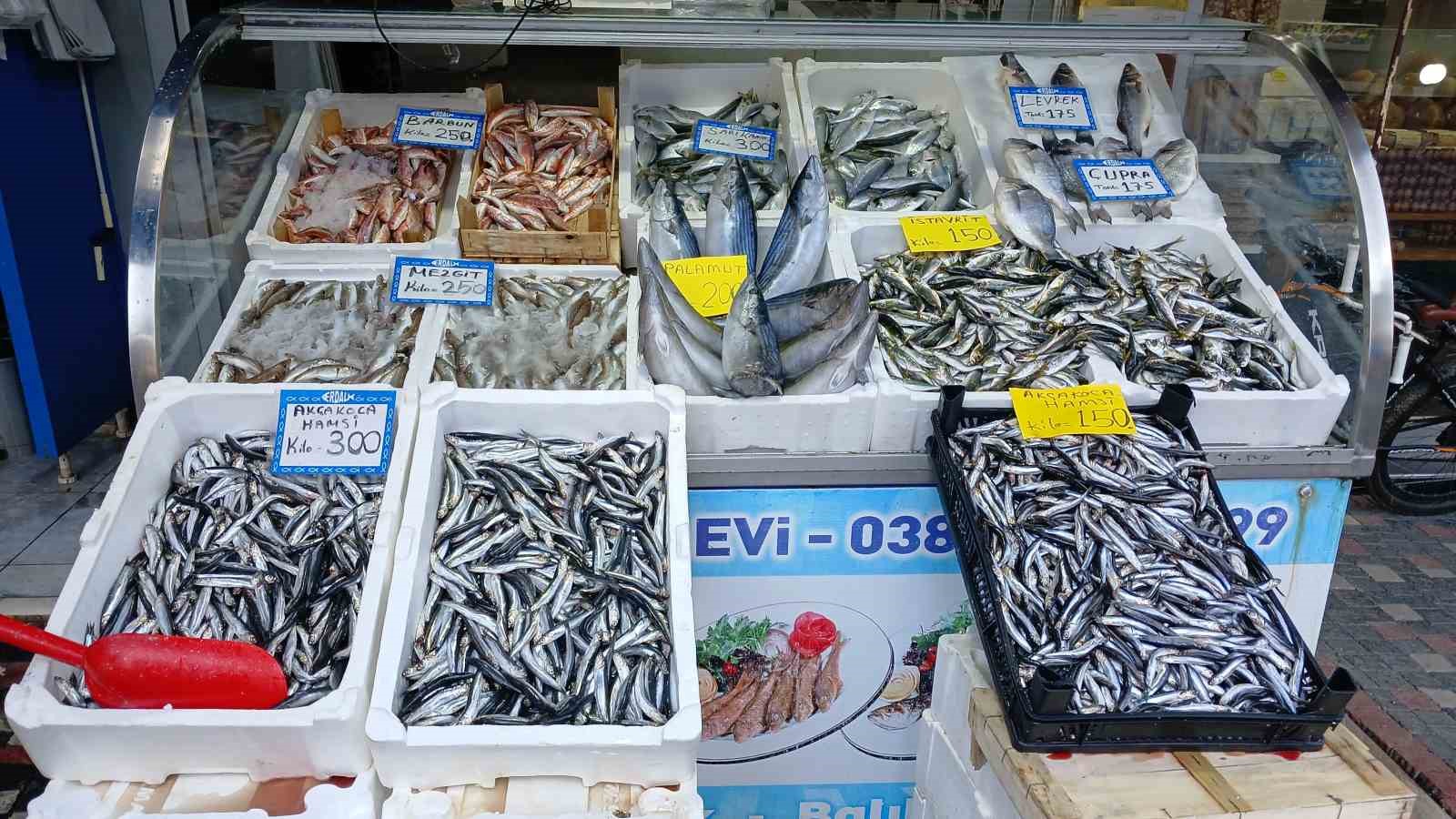 Tezgahta en ucuzu Çinekop balığı