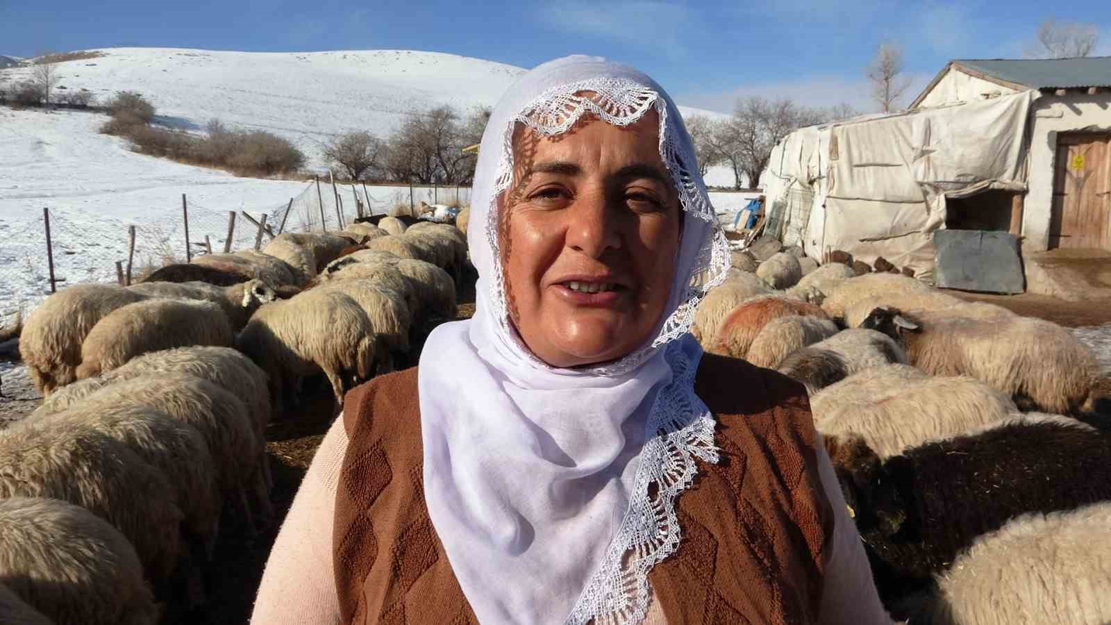 Hayvancılığa kadın eli değdi