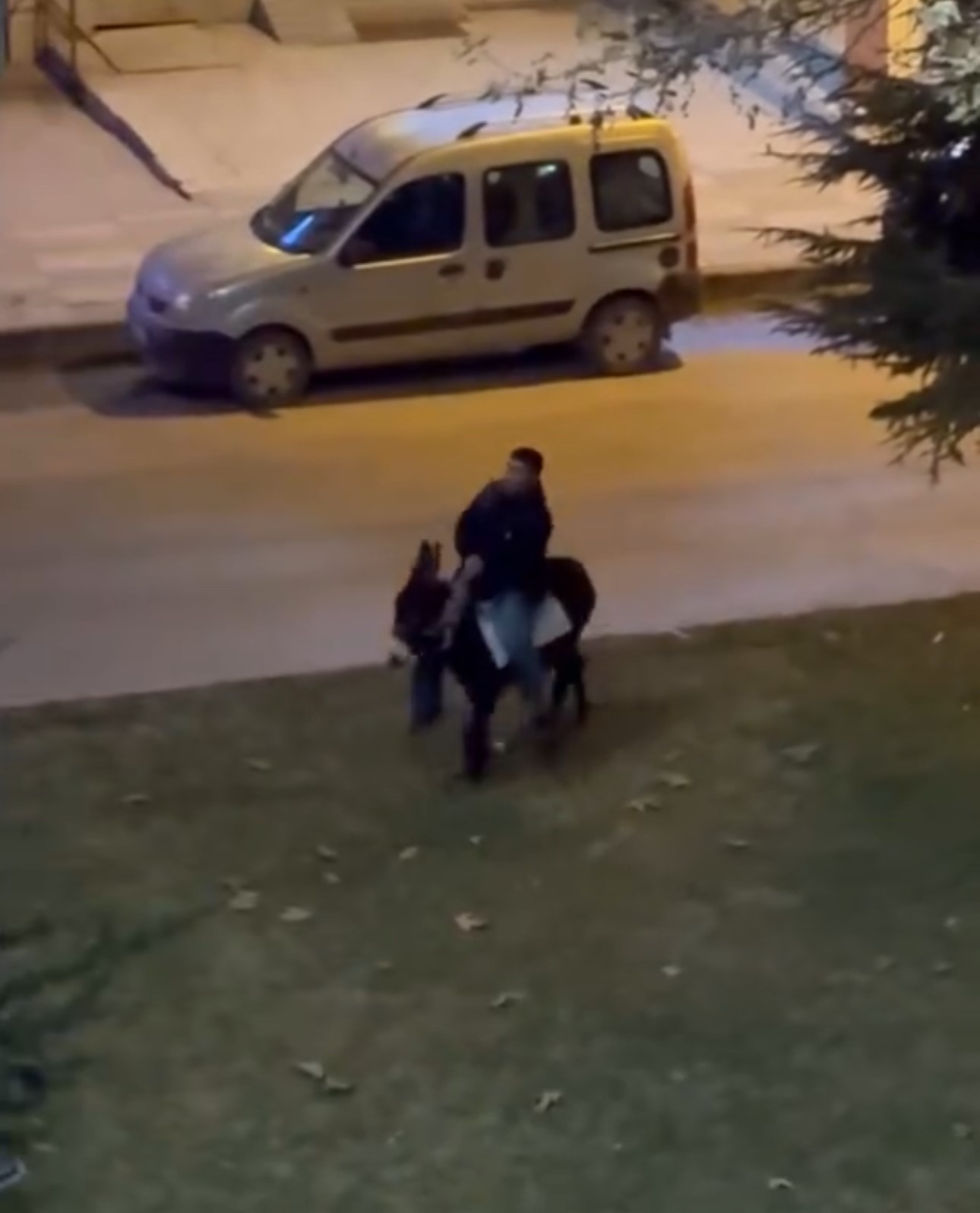 Caddede eşekle gezen vatandaş, renkli görüntüler oluşturdu