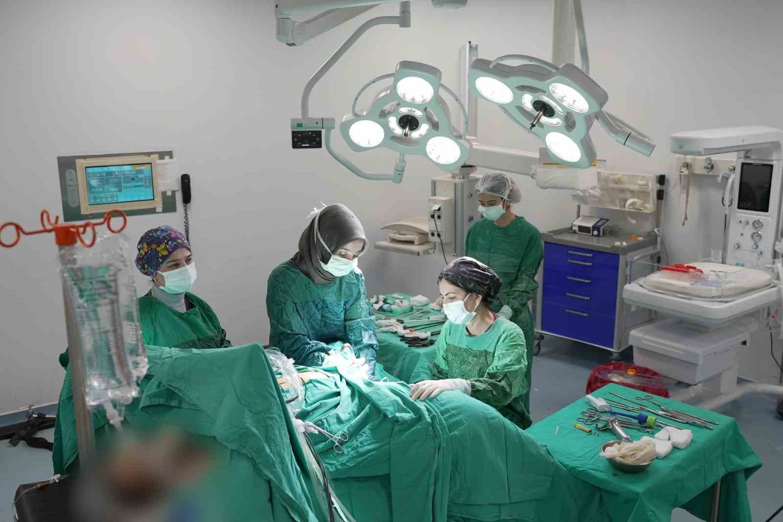 Endometrium kanseri tedavisinde yenilikçi yöntem