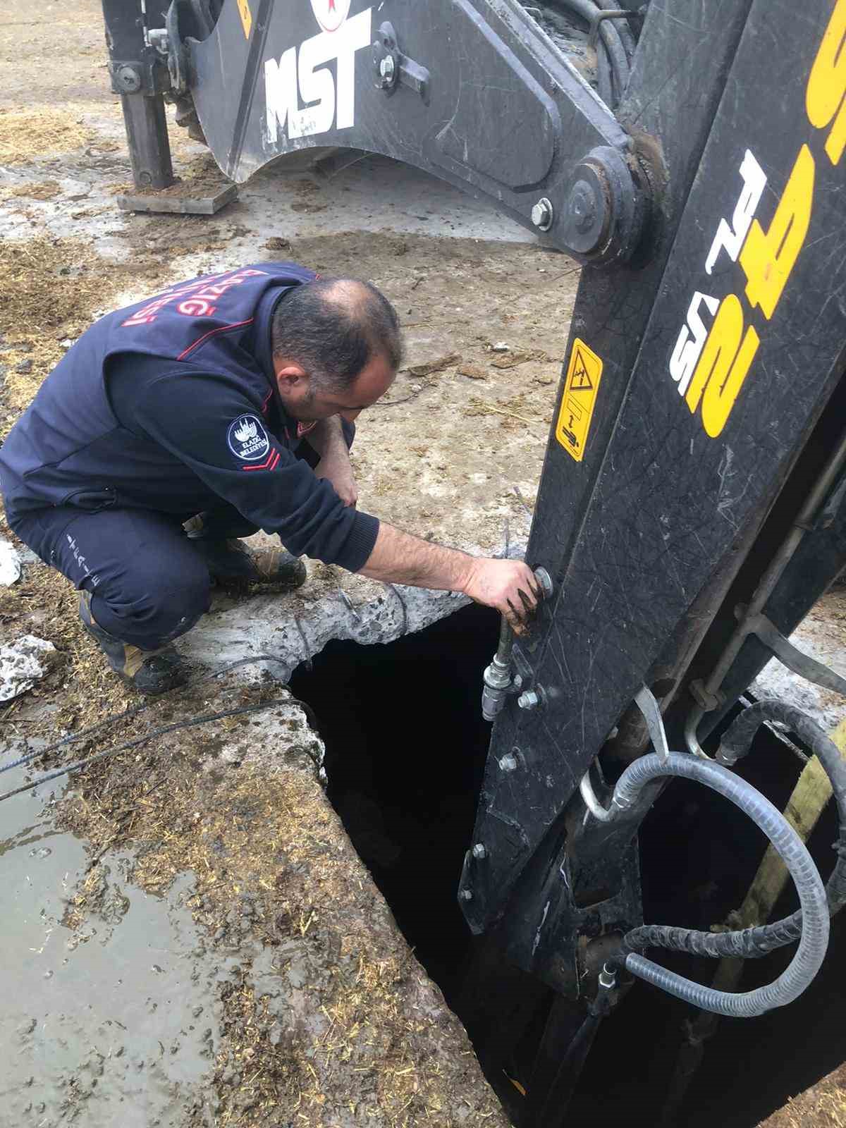 Kuyuya düşen gebe ineği kurtarmak için zamanla yarıştılar
