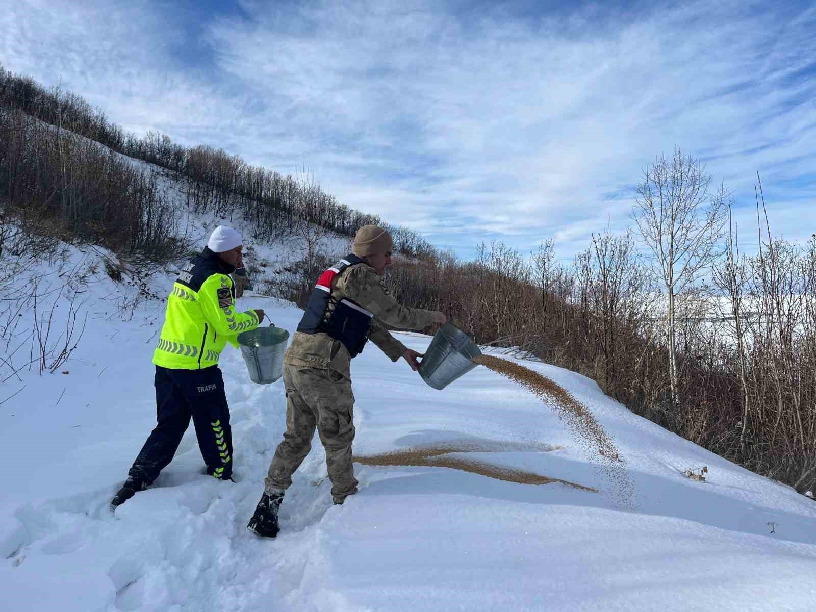Tatvan’da yaban hayvanları unutulmadı