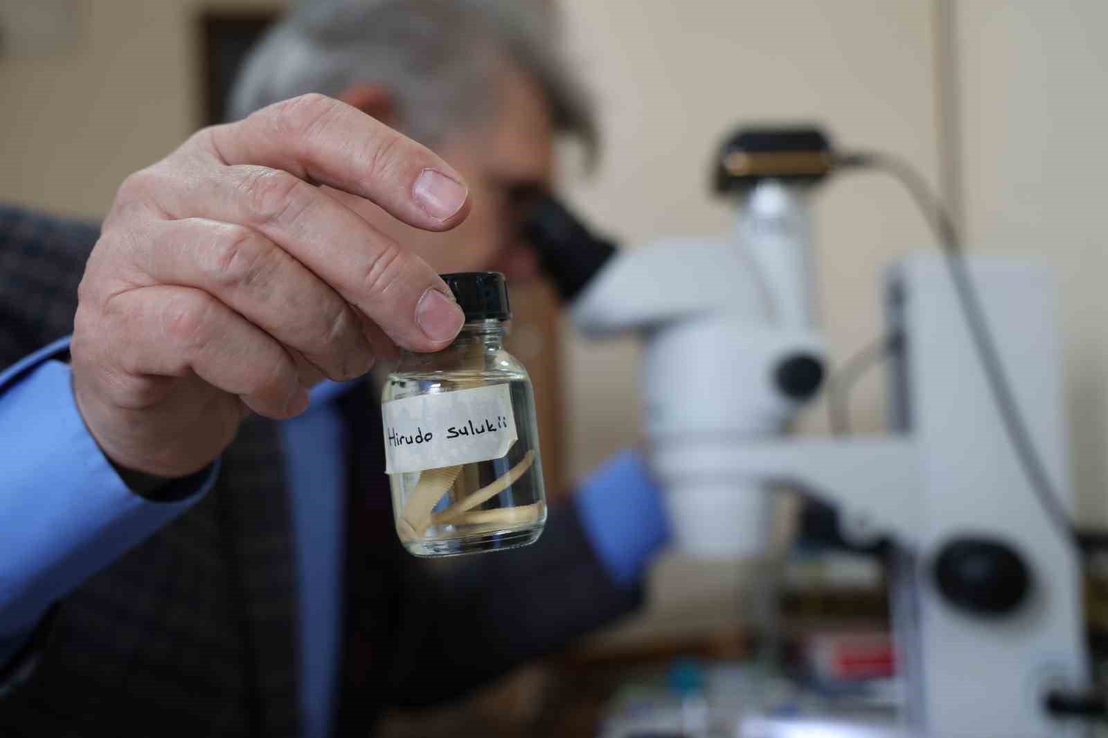 Türk tıp sülüğü dünya literatürüne girdi