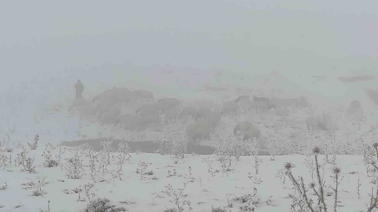 Van’da koyunlarını otlatan vatandaşlardan tasarruf tedbiri