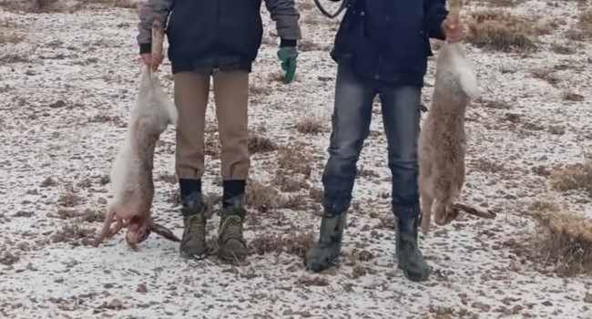 Van’da vurduğu tavşanları sosyal medyadan paylaşan kişiye ceza kesildi