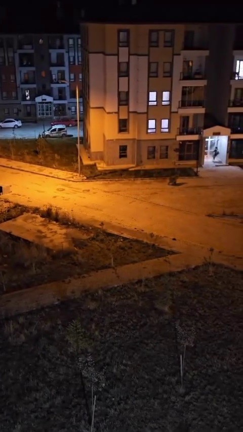 Vatandaşı kovalayan ayı, kameralara yansıdı