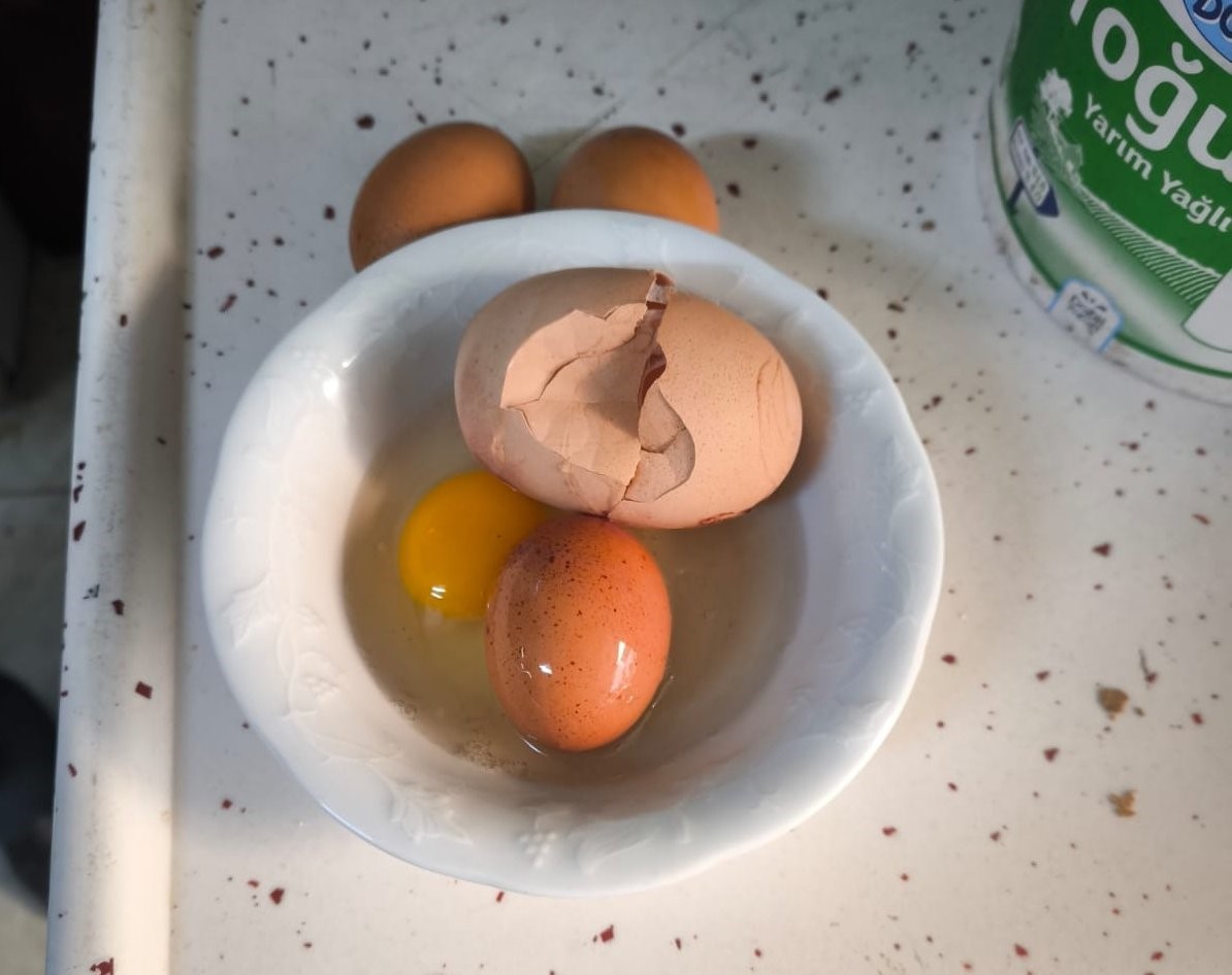 Yumurtanın içerisinden yumurta çıktı