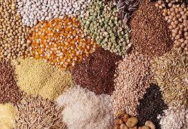 2024 yılında Türkiye’de 39 milyon ton tahıl üretildi