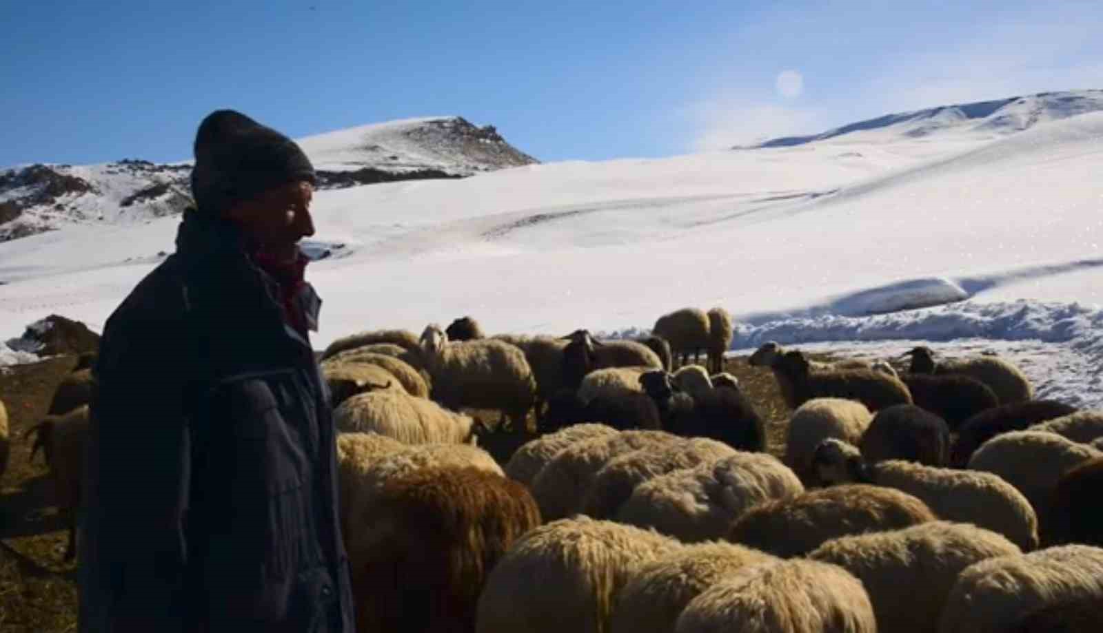 Besicilerin kış çilesi devam ediyor