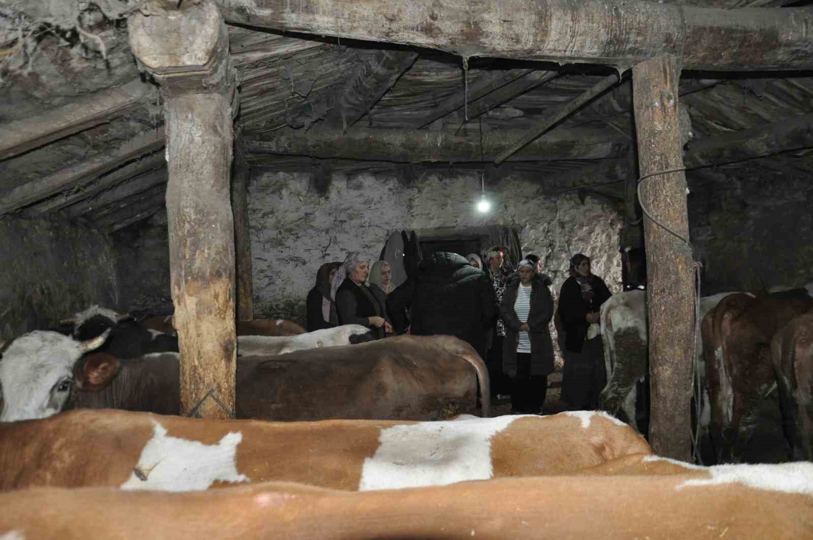 Kars’ta kadınlar sağlıklı sağım tekniklerini öğreniyor