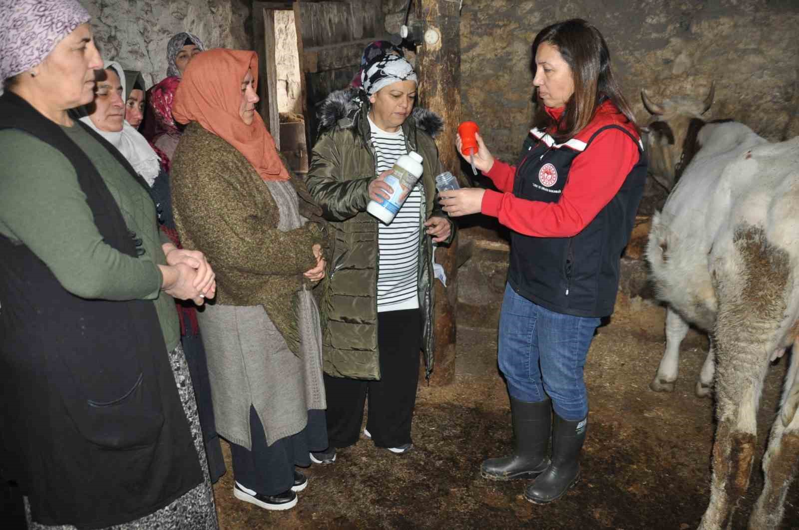Kars’ta kadınlar sağlıklı sağım tekniklerini öğreniyor