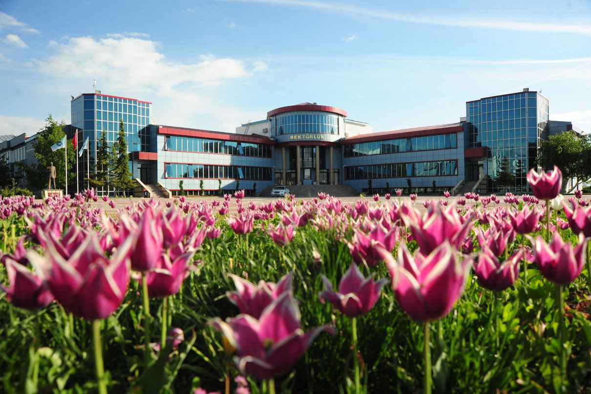 Van YYÜ  Akademik Personel Alım Sonuçları Açıklandı