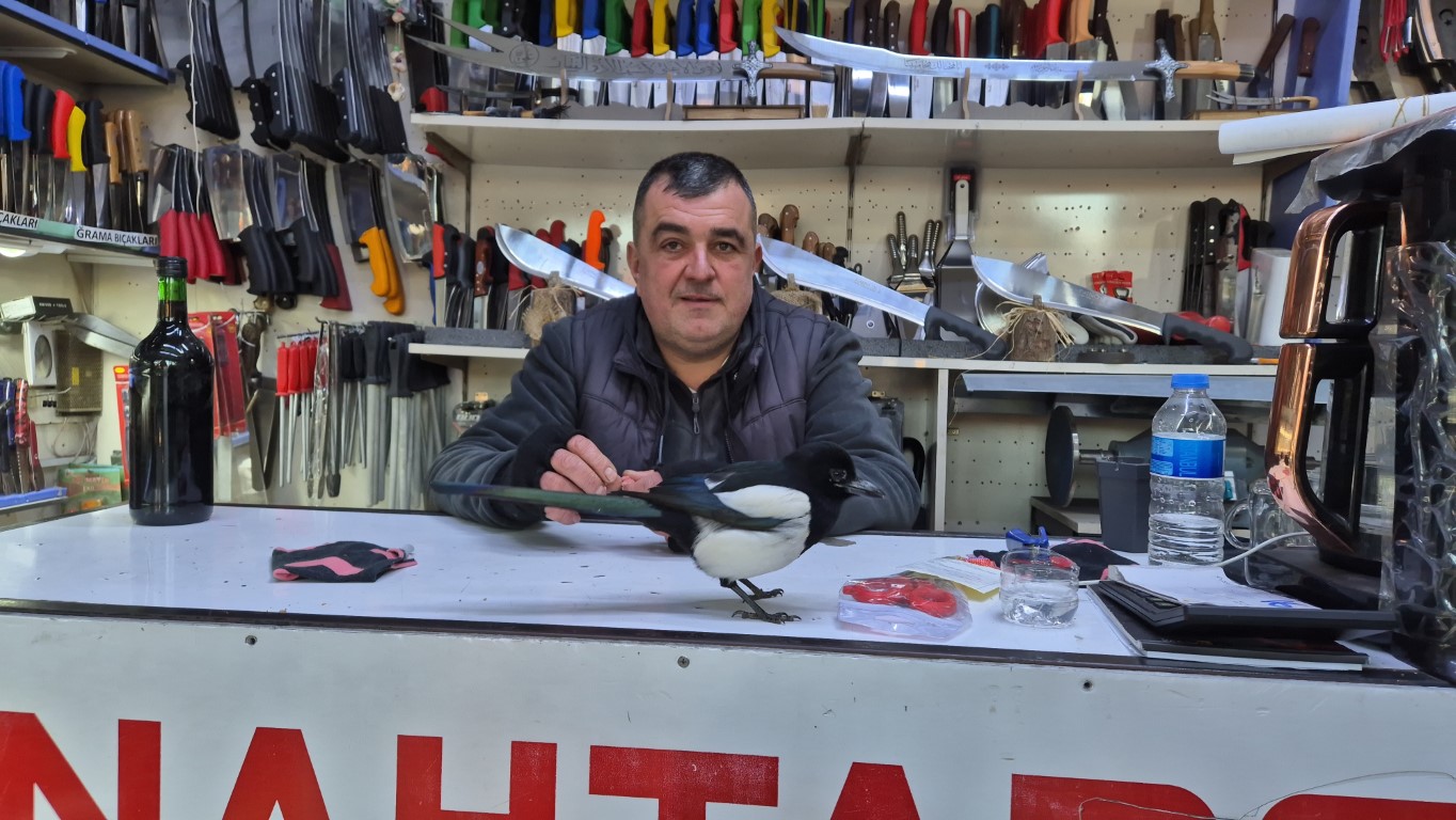 Bıçakçı ile saksağanın sıra dışı dostluğu