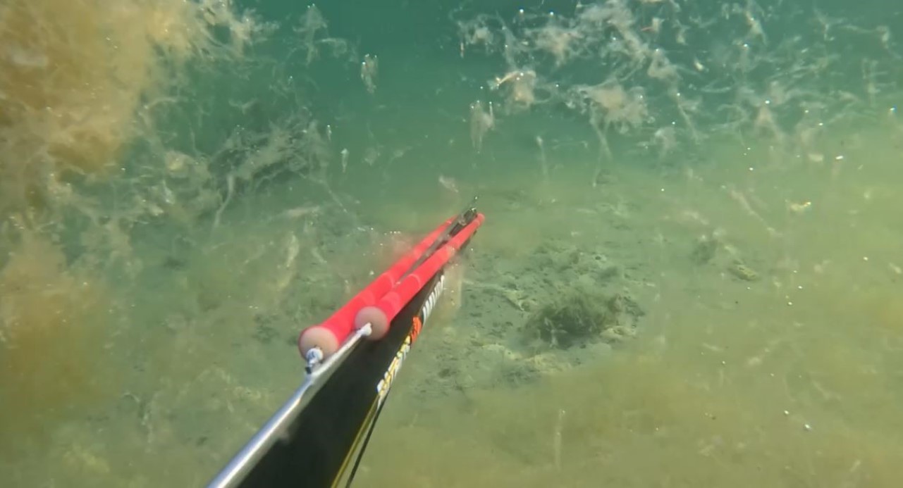 Denizin dibinde korkutan müsilaj