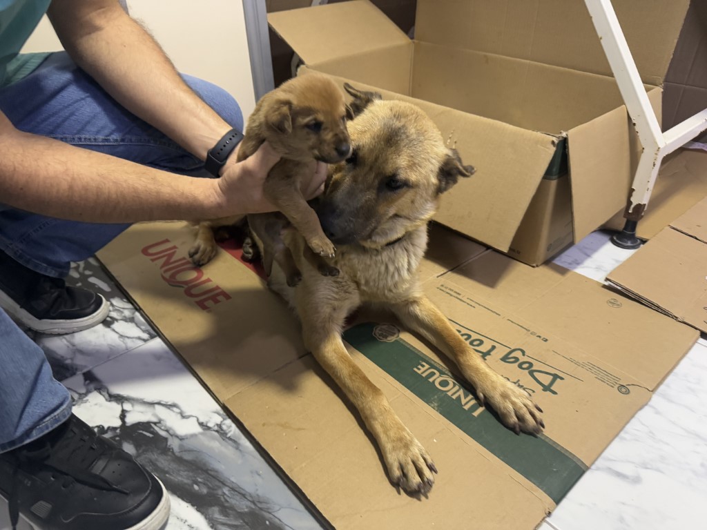 Yürek ısıtan görüntü!