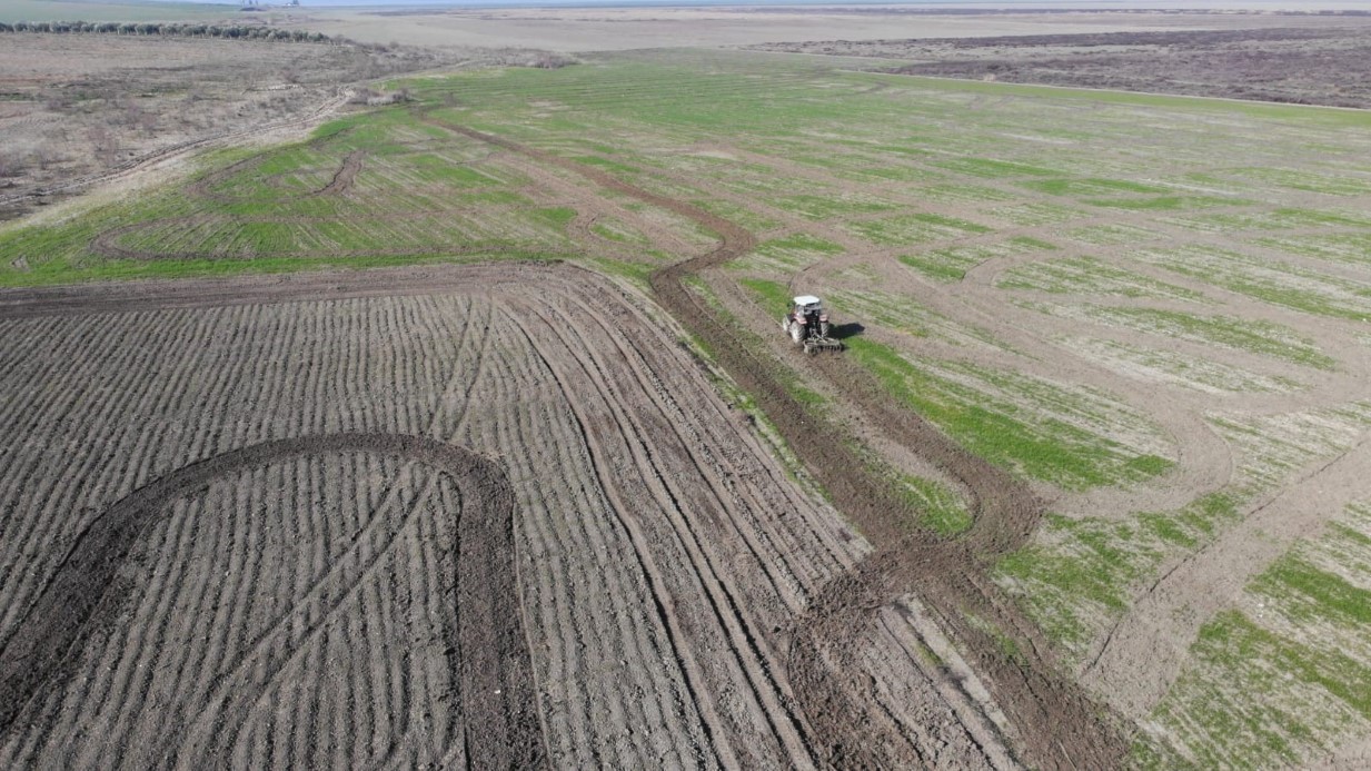 Kuruyan Marmara Gölü’ndeki arazi işgallerine taviz yok