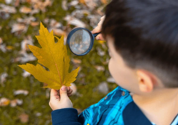 Bunları Biliyor Muydunuz? Şaşırtıcı gerçekler