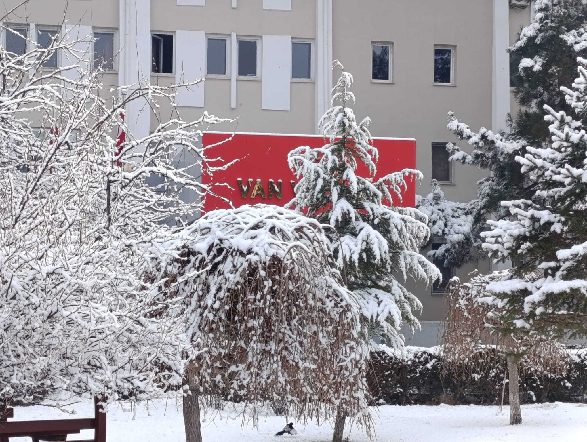 Van yeniden beyaza büründü