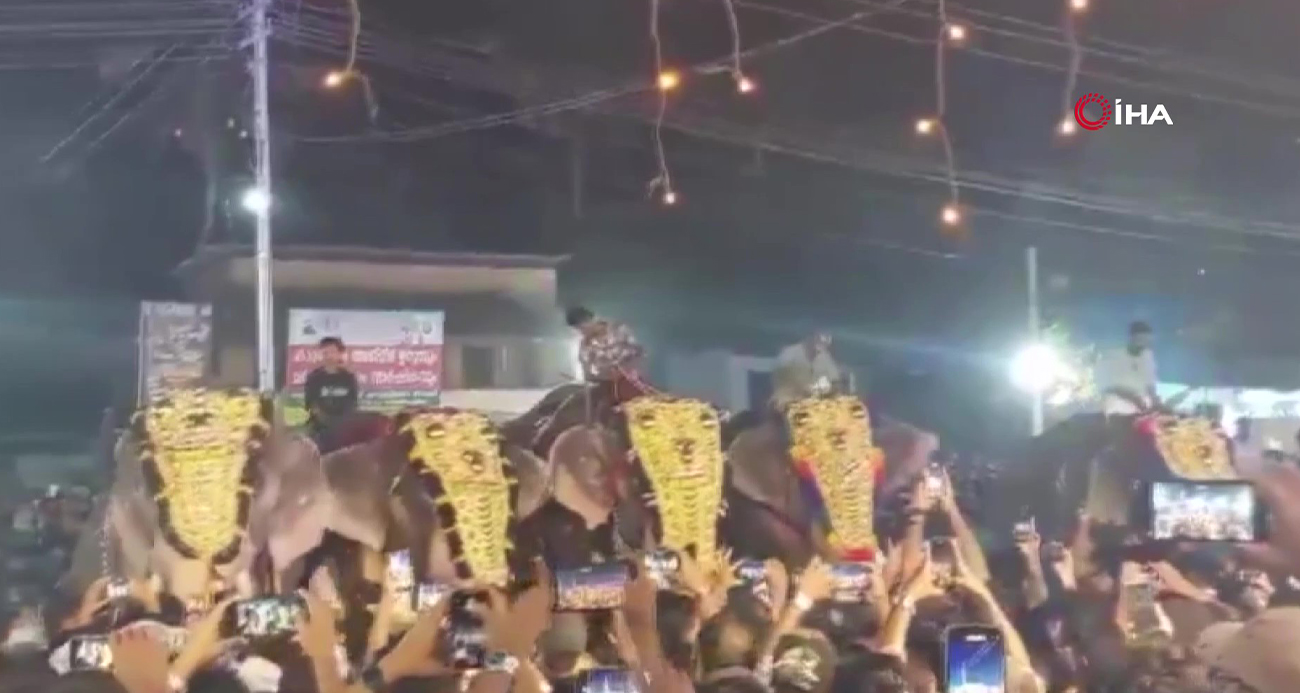 Hindistan’daki festivalde insanlara fil saldırdı: 17 yaralı