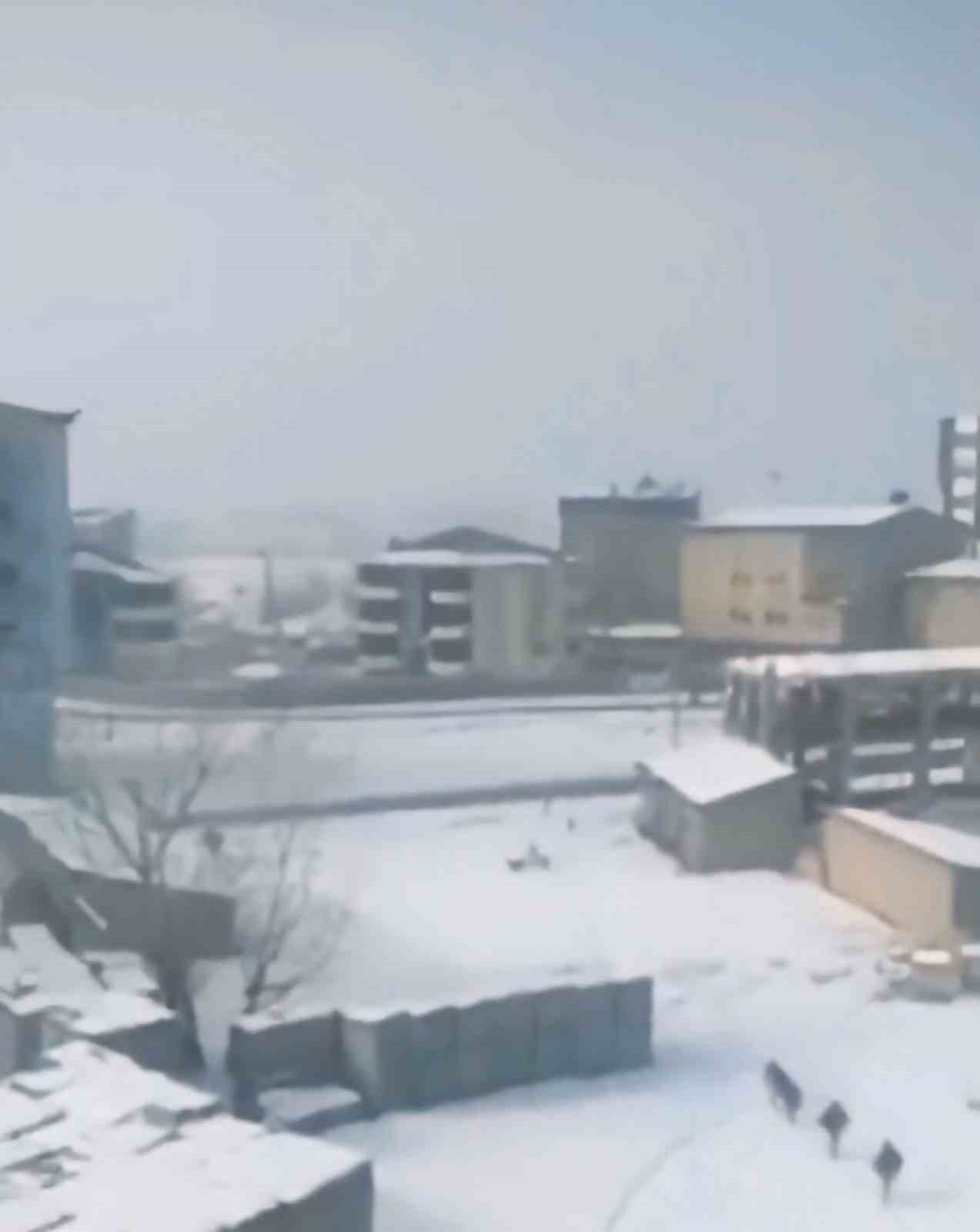 Hakkari’de başıboş köpeklerin öğrencilere saldırı anı böyle görüntülendi