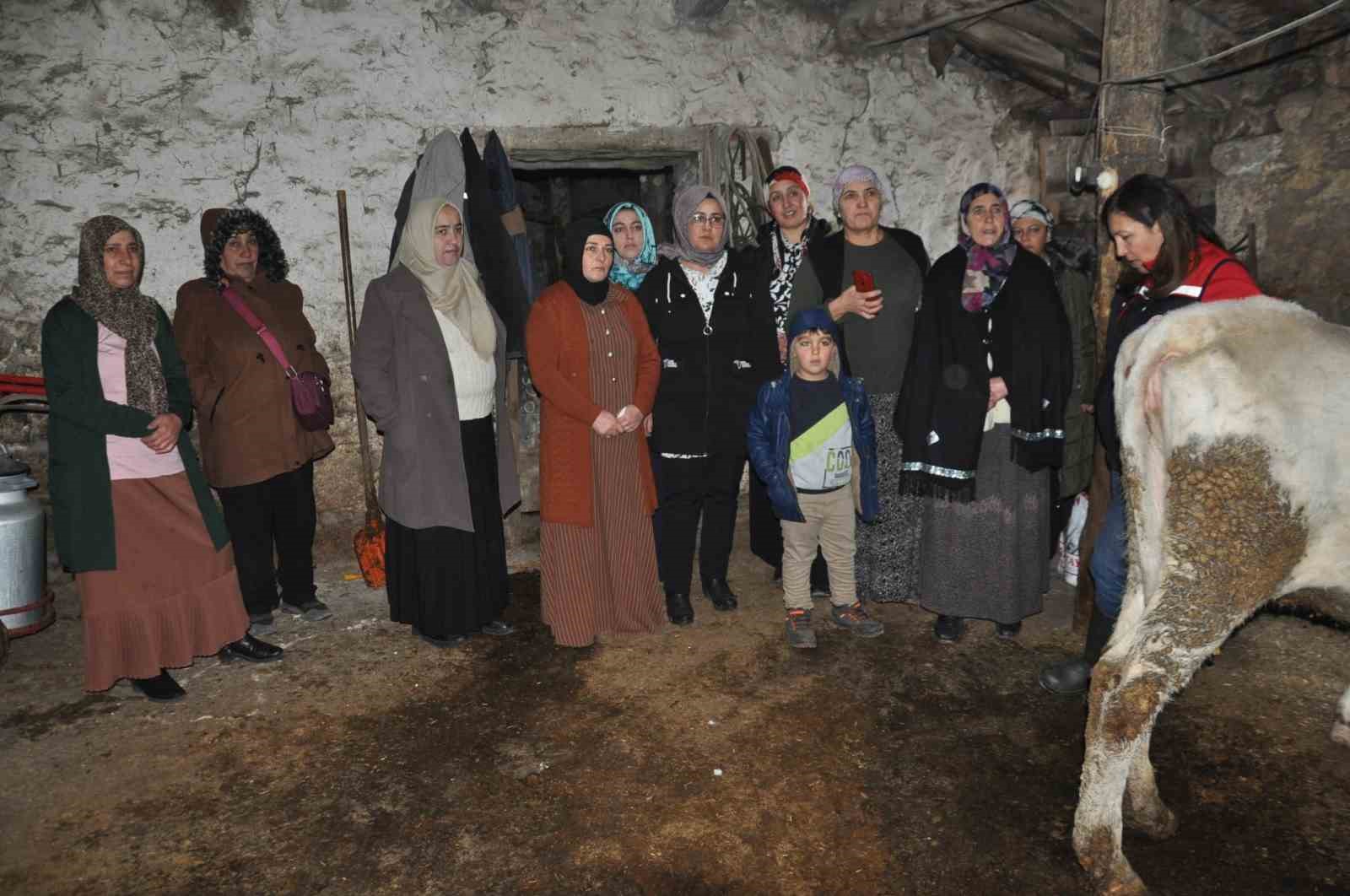 Karslı kadınlar sağlıklı sağım tekniklerini öğreniyor