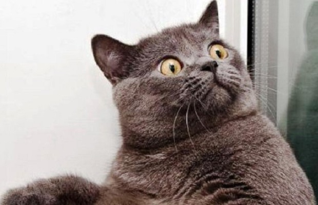 Bunları Biliyor muydunuz? En Yeni ve İlginç Bilgiler