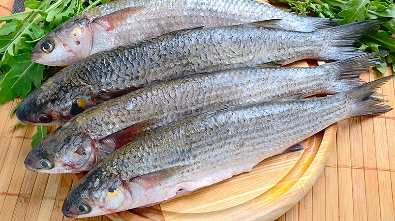 Taze Balık Nasıl Anlaşılır? Uzmanından İpuçları!