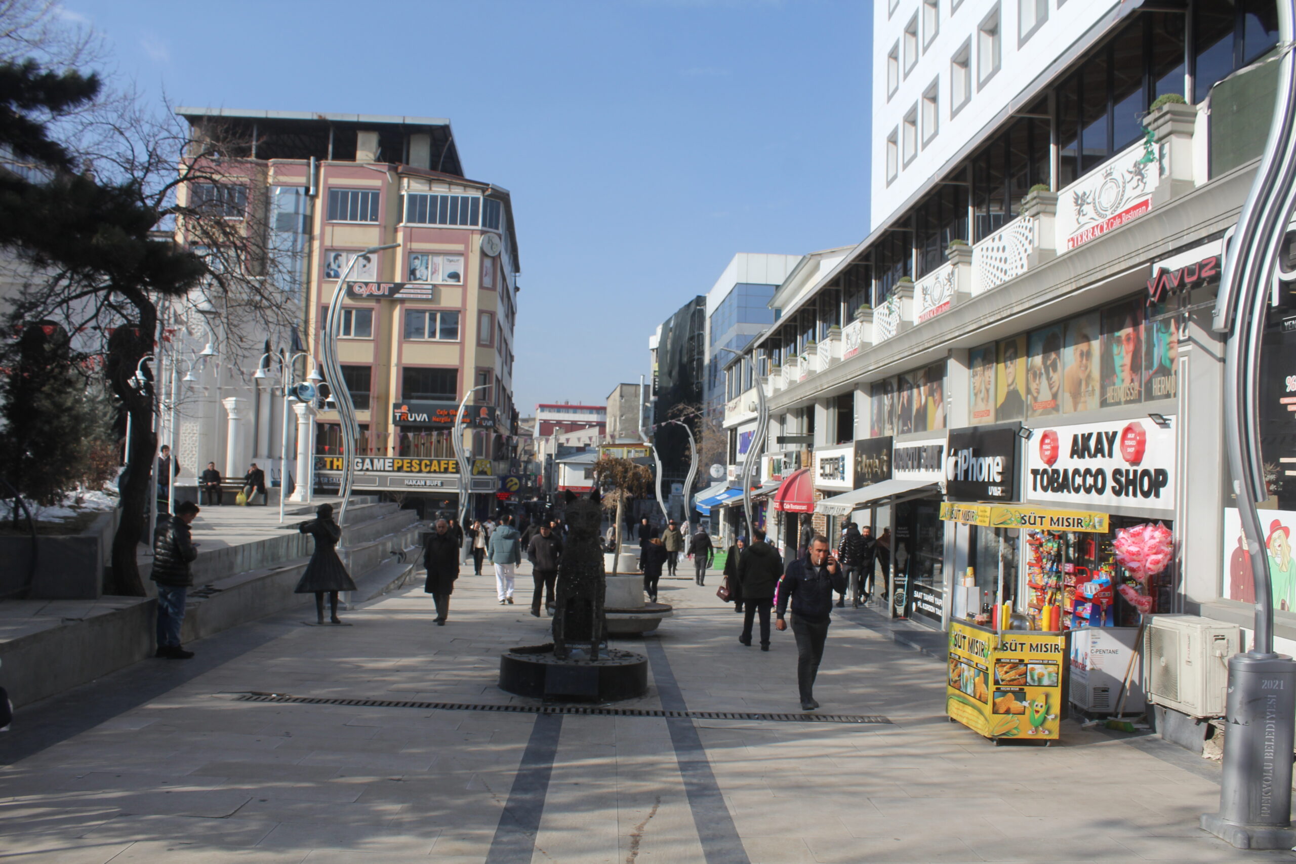 Van’ın “Sanatsız Sokağı”  görenleri şaşırtıyor