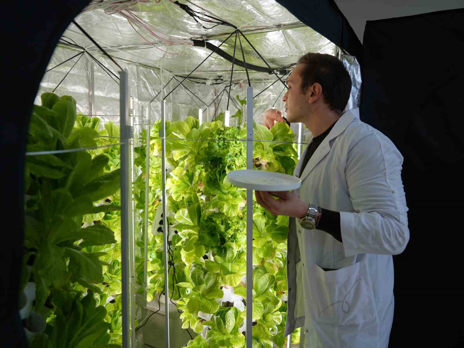 Topraksız tarım için ilk adımı attılar