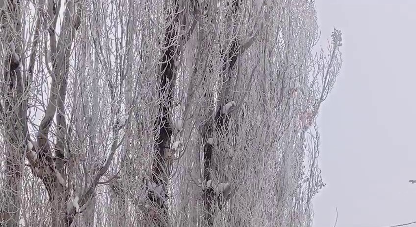 Türkiye’nin en soğuk yeri Tekman oldu